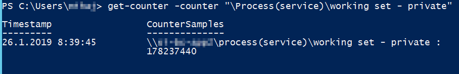 Get working set counter from service.exe process